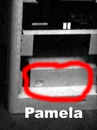 Pamela, dator till yrket